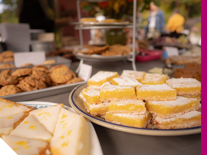 Humboldt Commons Events to Explore