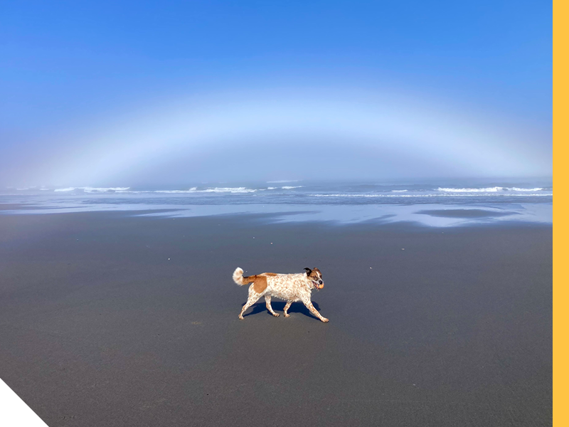 Humboldt Commons Gallery to Explore