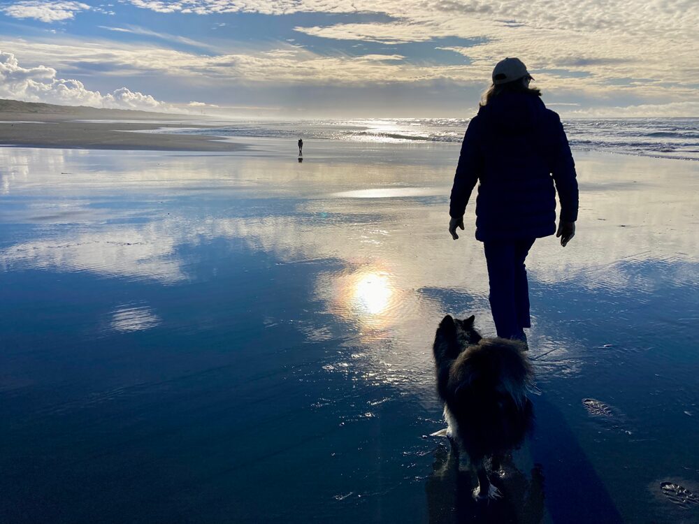 Woman walking dog on beach