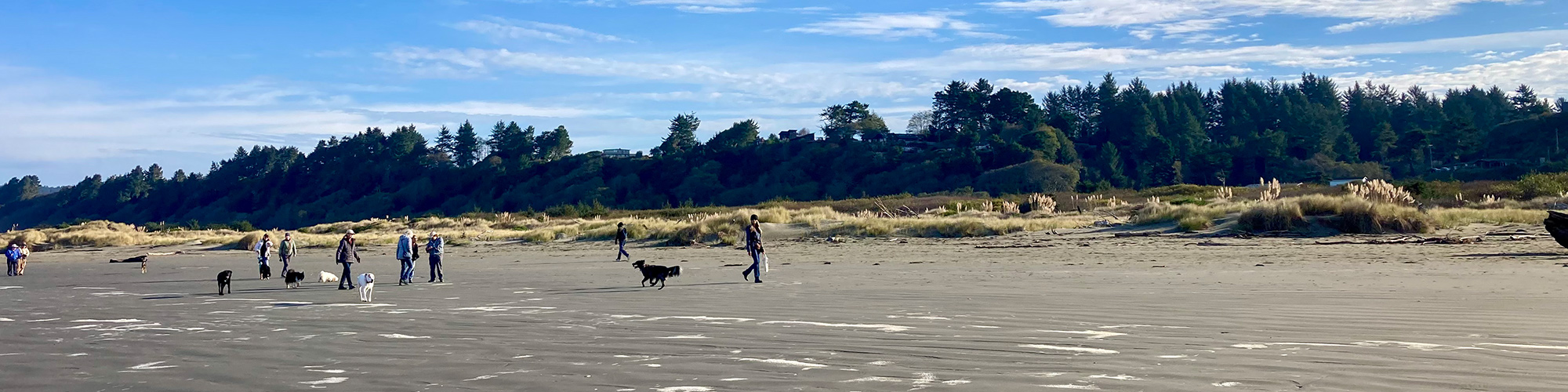 People enjoying the beach