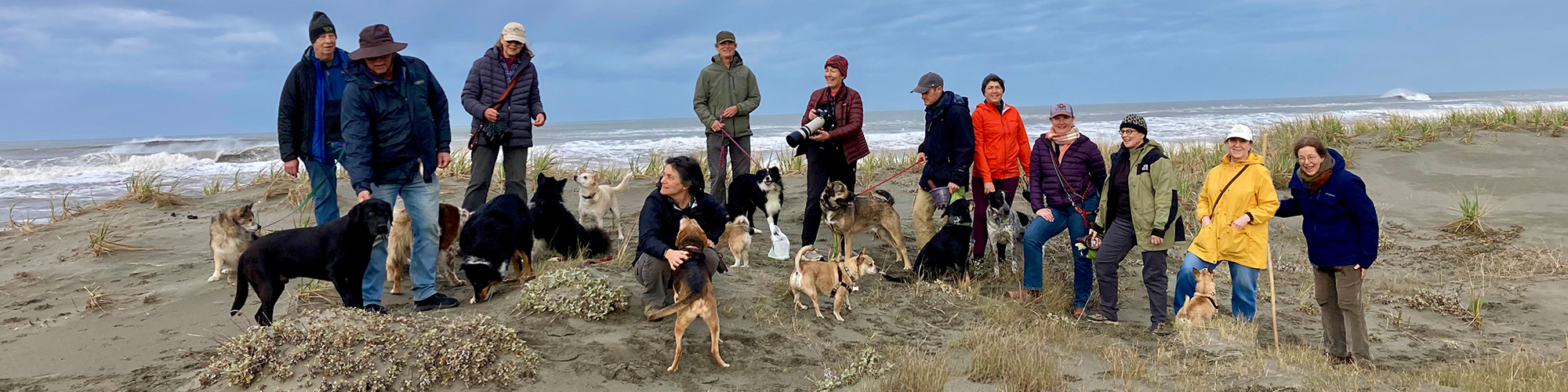 Residents on beach with dogs
