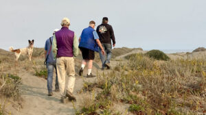 Several people walking up sand dunes